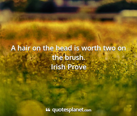 Irish prove - a hair on the head is worth two on the brush....