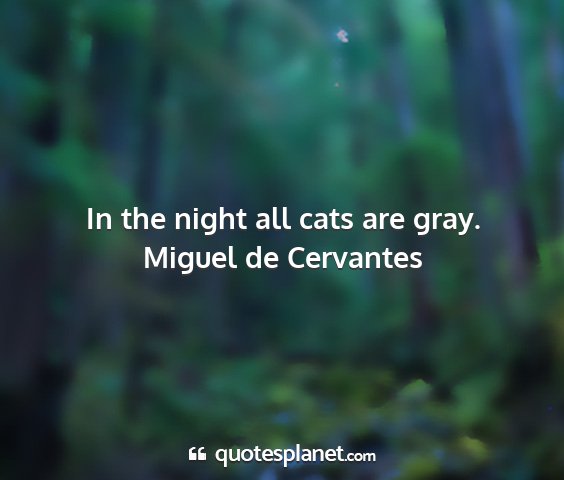 Miguel de cervantes - in the night all cats are gray....