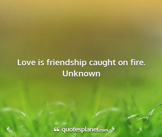 Unknown - love is friendship caught on fire....