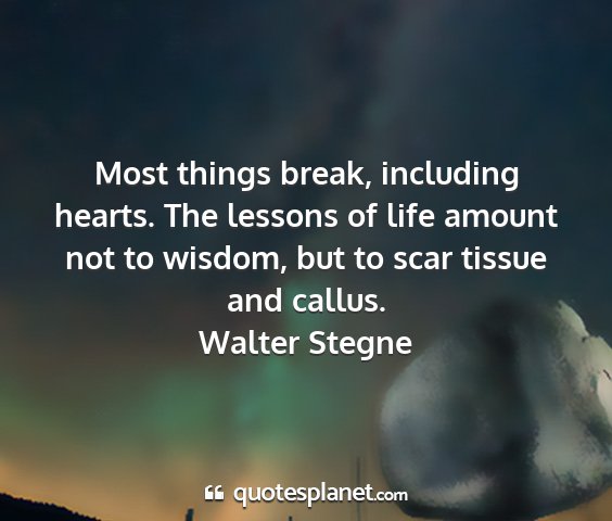 Walter stegne - most things break, including hearts. the lessons...