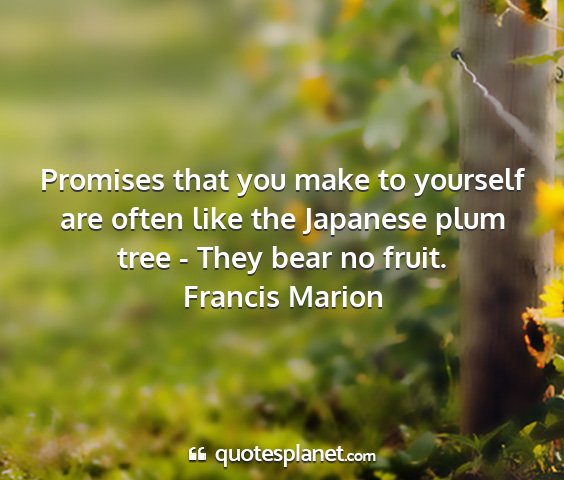 Francis marion - promises that you make to yourself are often like...