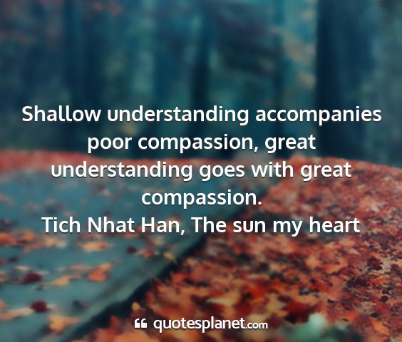 Tich nhat han, the sun my heart - shallow understanding accompanies poor...