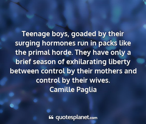 Camille paglia - teenage boys, goaded by their surging hormones...