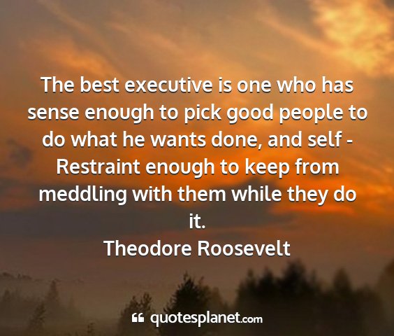 Theodore roosevelt - the best executive is one who has sense enough to...