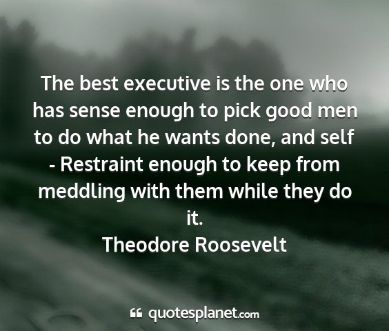 Theodore roosevelt - the best executive is the one who has sense...