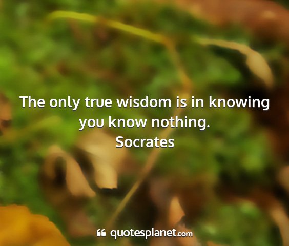 Socrates - the only true wisdom is in knowing you know...