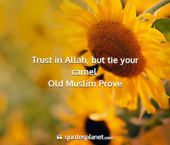 Old muslim prove - trust in allah, but tie your camel....
