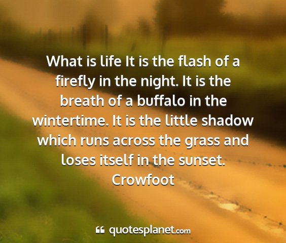 Crowfoot - what is life it is the flash of a firefly in the...