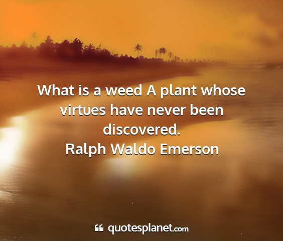 Ralph waldo emerson - what is a weed a plant whose virtues have never...