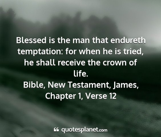 Bible, new testament, james, chapter 1, verse 12 - blessed is the man that endureth temptation: for...