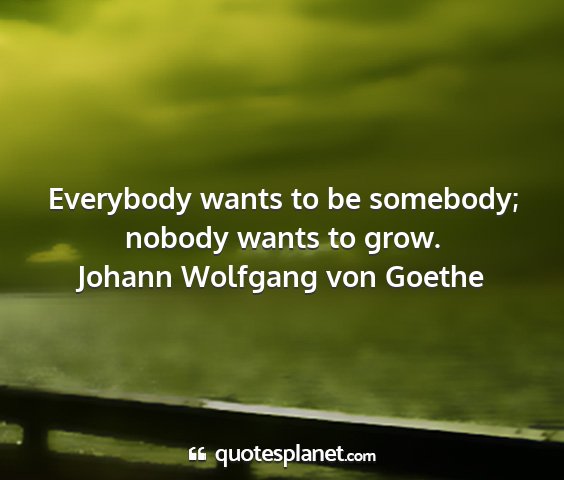 Johann wolfgang von goethe - everybody wants to be somebody; nobody wants to...
