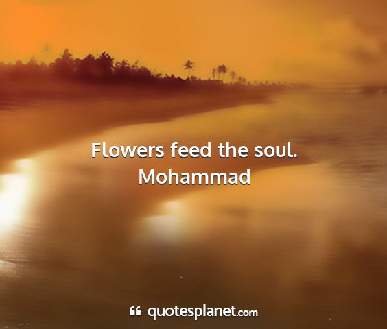 Mohammad - flowers feed the soul....