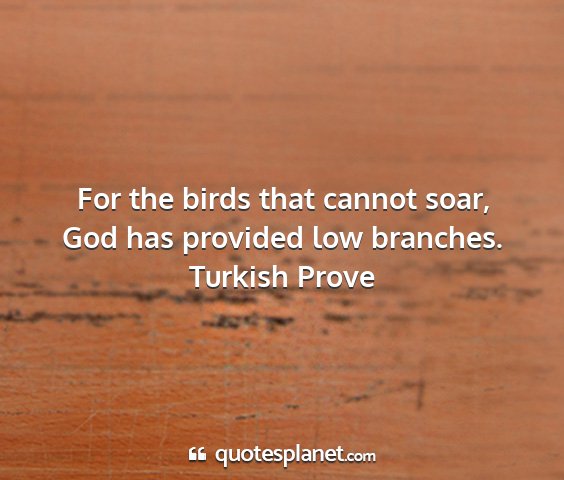 Turkish prove - for the birds that cannot soar, god has provided...