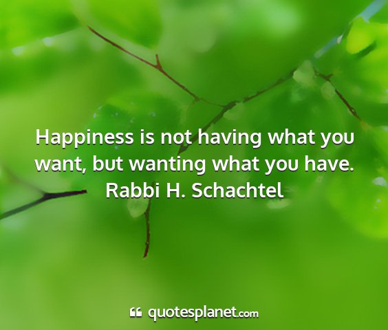 Rabbi h. schachtel - happiness is not having what you want, but...