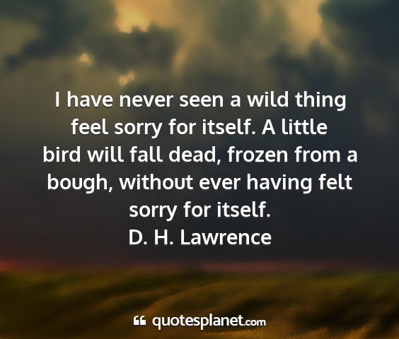 D. h. lawrence - i have never seen a wild thing feel sorry for...